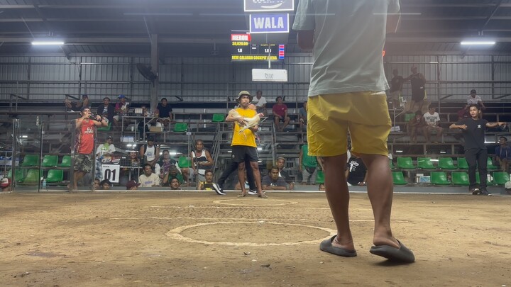 2hits Calauan Laguna hatch - Win