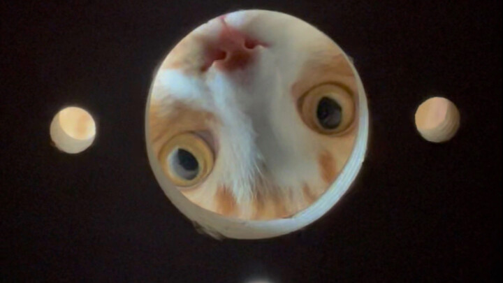 โคมไฟลูกก่อนหน้านี้ถูกต้าเหมาถอดออกแล้ว คราวนี้เลยติดอันที่มีสีแทน