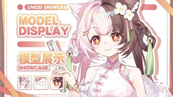【Live2d模型展示】好吃的旗袍三色杯小猫！