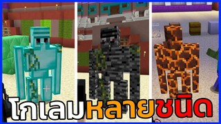 ถ้ามีโกเลมหลายชนิด จะเป็นอย่างไร Minecraft