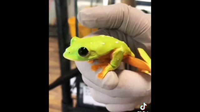 cute 🥺