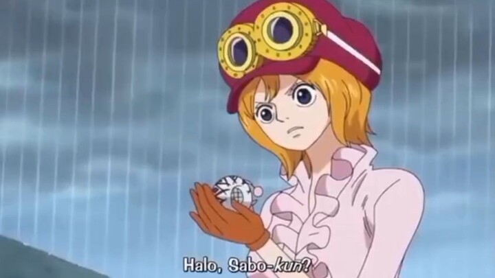 one piece Sabo kun