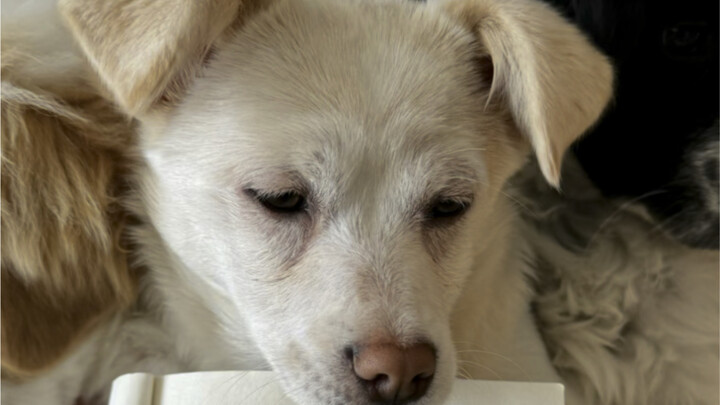 ทดสอบแล้วได้ผลจริง ทำให้ฉันยอมรับอย่างเต็มใจ