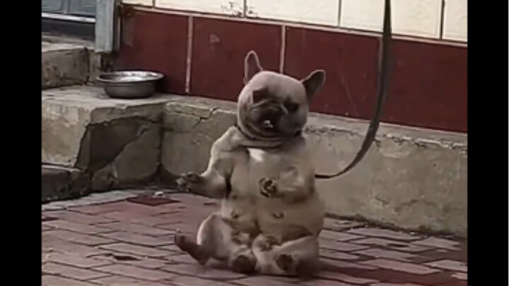 A Cheerful Dancer with Chubby Cheeks