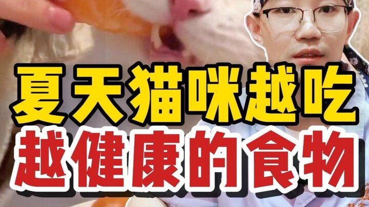 أطعمة الصيف التي تجعل القطط تزداد صحة كلما أكلتها – هيا، تناولها مع قطتك!