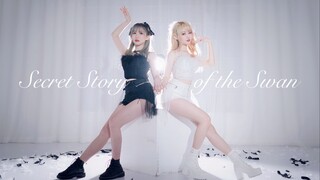 ♡The Beautiful Love of Black and White Swan♡ IZONE-Fantasy Fairy Tale【Wan Hui x Xi Xi】