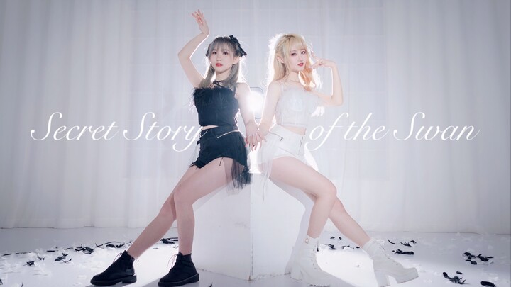 ♡The Beautiful Love of Black and White Swan♡ IZONE-Fantasy Fairy Tale【Wan Hui x Xi Xi】