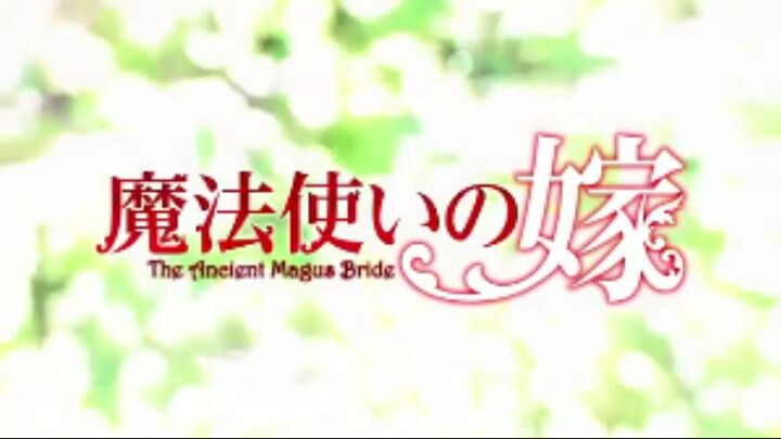 Mahoutsukai no Yome16
