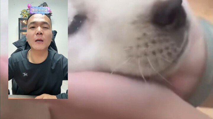 Let it eat—what’s wrong with a little puppy?