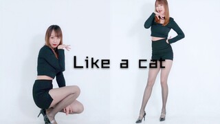 [Huaying] Maobu Qingqiao Seperti kucing❤️Kucing liar kecil yang seksi sedang online~