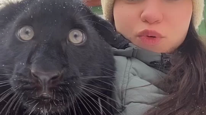 مرّت 3 سنوات، ولا يزال باوباو حكيمًا كما كان دائمًا.