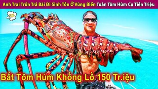 Anh Trai Trốn Trả Bài Đi Sinh Tồn Ở Biển Toàn Tôm Hùm Cụ Tiền Triệu | Review Con Người Và Cuộc Sống