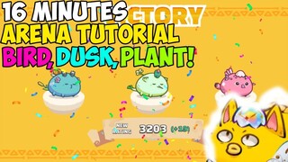 16 MINUTES ARENA TUTORIAL AXIE INFINITY (BIRD,PLANT,DUSK)