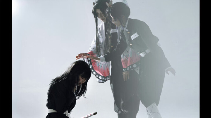 在五年前花了2个月p了100多张图的蝴蝶忍正片！