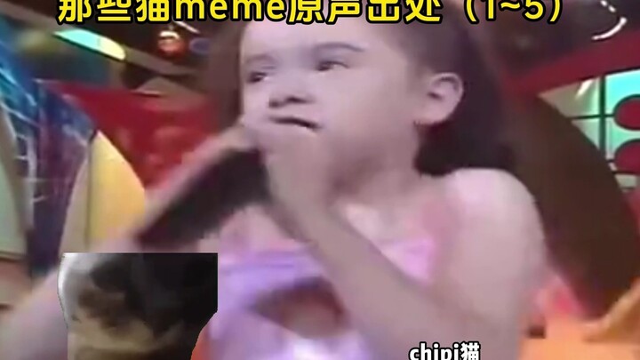 那些猫meme原声出处（1~5）
