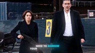 person of interest series