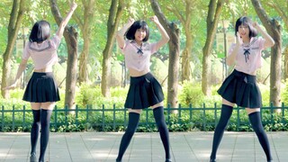 [Home Dance First Submission] ฉันขอโทษที่น่ารักมาก! ♡ น่ารัก くてごめん