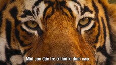 Big Beasts EP 09 [Sub Việt]