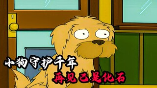 小狗守护男孩1千年，为此奉献一生，再见已是化石