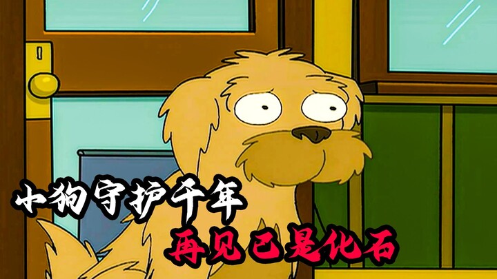 小狗守护男孩1千年，为此奉献一生，再见已是化石