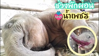 ช่วงบ่าย..เป็นเวลาพักผ่อนน้ำเพชร