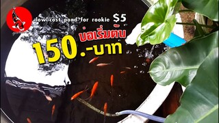 150บาท บ่อเริ่มต้นสำหรับมือใหม่ Low cost Pond for Beginner $5 l คุณพ่อคราฟ EP.32