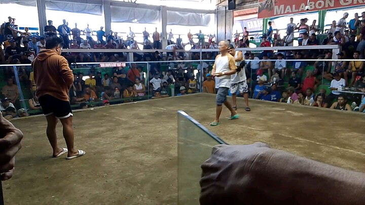 Boston sweater second fight 🐓