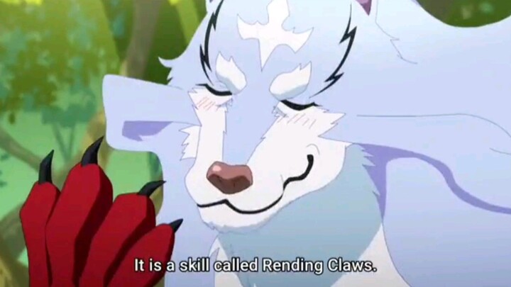 Look at that smug look on Fel's face 😂