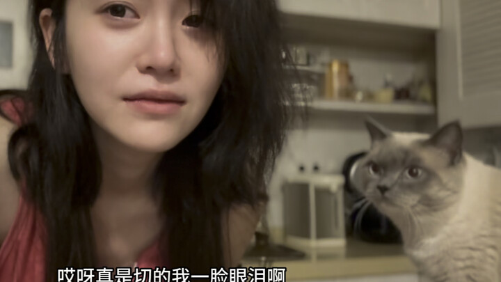 My Long-Distance Girlfriend’s Daily Check-In: Cat’s Super Affectionate + Livestreaming While Making 