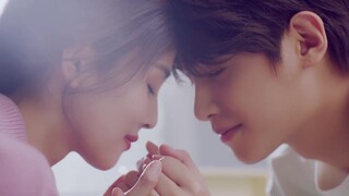 [White Deer] [MV vũ trụ nổi] Tôi hoàn toàn bị sốc! Tiểu Giai và Bạch Mộng Nghiên gặp nhau như thế nà
