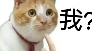 Yes, you are so cute.