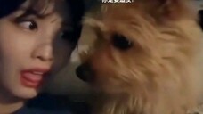 《平井桃》 能把自己的狗🐶整抑郁😏 BOO:这人什么档次?竟然学我做一样的动作?笑发财了 😂😂😂