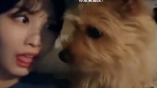 《平井桃》 能把自己的狗🐶整抑郁😏 BOO：这人什么档次？竟然学我做一样的动作？笑发财了 😂😂😂