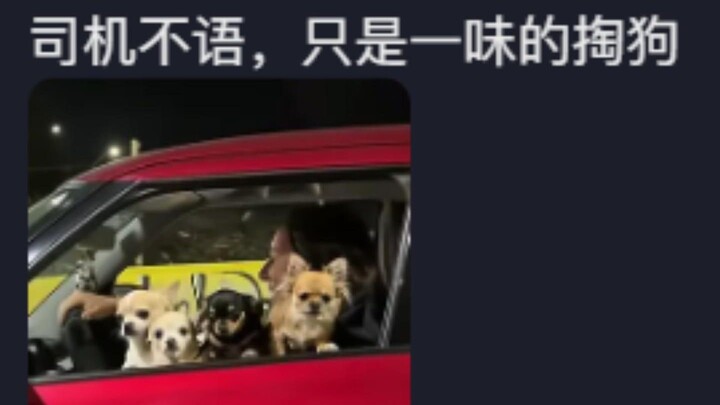 Satu per satu muncul, imut banget banget banget！！！！！
