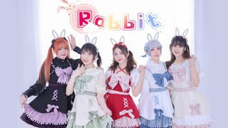 请问要来点兔子吗♡Rabbit♡一个圆圆的东西带走一只兔子