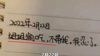 Nhật ký ninja của người em trai chứa đầy những lời buộc tội chống lại chị gái mình.