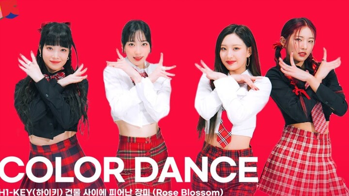 【H1-KEY】楼宇之间盛开的玫瑰(Rose Blossom) 最新舞蹈版视频公开｜[COLOR DANCE]