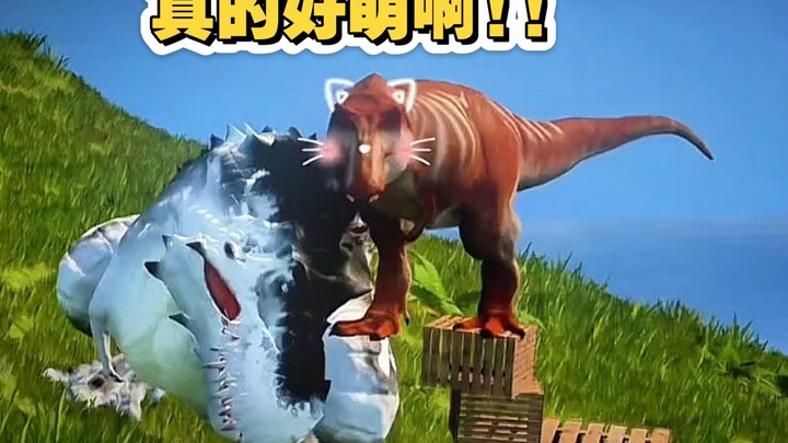 Semua yang pakai kostum salmon itu imut banget ya? Episode kali ini benar-benar imut!