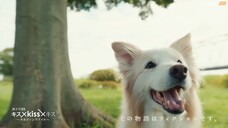 Kiss--Kiss--Kiss-Melting-Night.Episode-1.kisskh