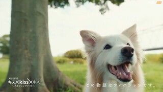 Kiss--Kiss--Kiss-Melting-Night.Episode-1.kisskh