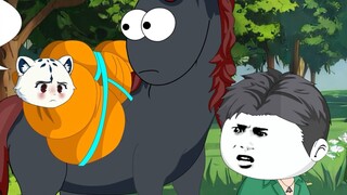 A mysterious light appeared in the middle of the night