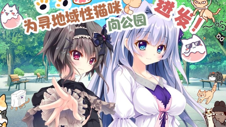来看看什么才叫真社恐啊！？为寻地域猫咪向公园进发！