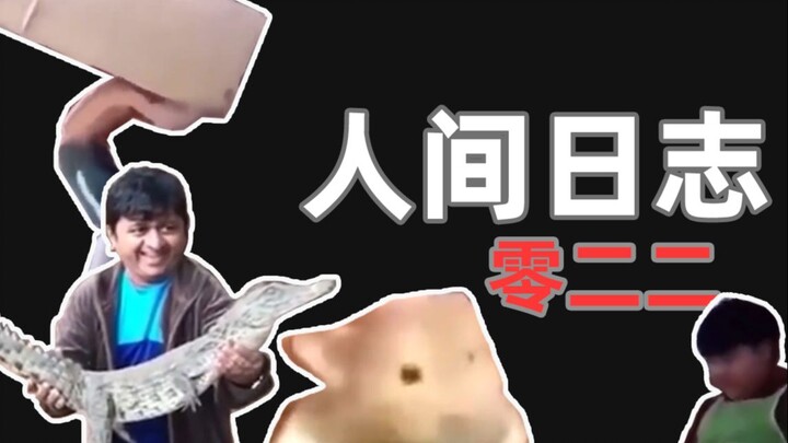 Human Observation Log 022