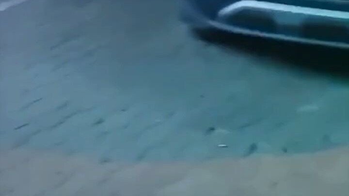 Seorang pria memanggil anjingnya, si anjing langsung berlari mendekati tuannya sambil mengibaskan ek