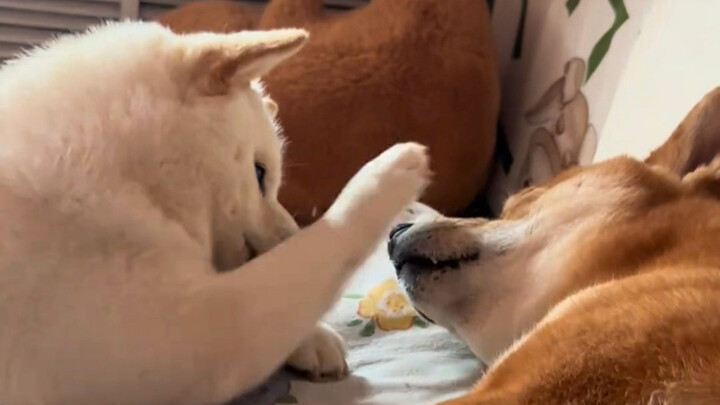 เวลาแฟนหนุ่มง่วงแต่คุณกลับนอนไม่หลับ