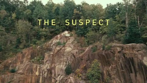 the suspect action
