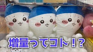 【クレーンゲーム】ちいかわ スポーツ刈りなハチワレ超BIGぬいぐるみにチャレンジ！！むちゃでかなスポワレちゃん❤️