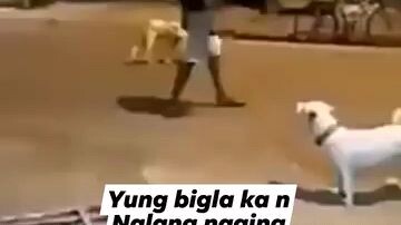 Yung naging kungfu master ka pag may also |Pilipino funny videos