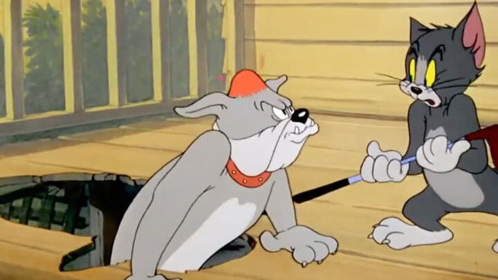 Kali ini Tom nggak bisa lagi ngeliatin penjelasan.