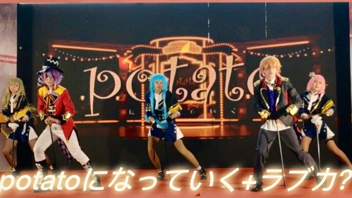 【プロセカ】Super WS Comic Exhibition Stage Dance! Transformed into Potato + Frilled Shark 【Wonderlands×Sh